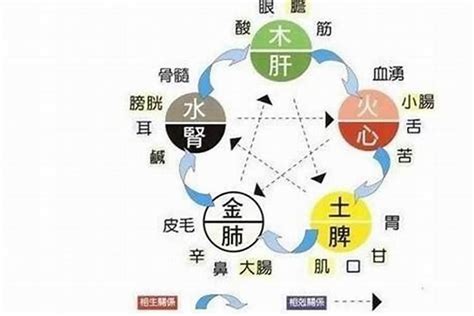 缺水五行|八字缺水的人有何特征